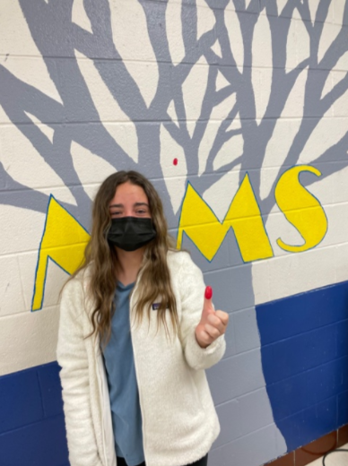 MMS Collaborative Art Project