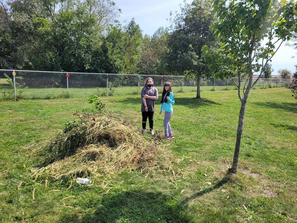 students add more weeds to the pile