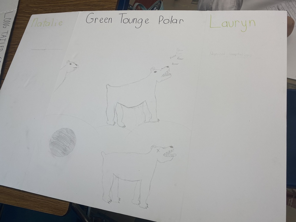 Green Tounge Polar Bear - Student created Animal project