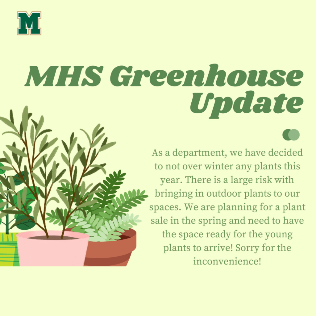 MHS Greenhouse update. As a department, we have decided to not over winter any plants this year. There is a large risk with brining in outdoor plants to our spaces. We are planning for a plant sale in the spring and need to have the psace ready for the young plants to arrive. Sorry for the inconvenience!